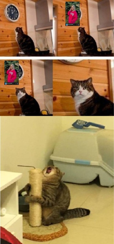 Create meme: cat and scratching post meme, screaming cat with kittens, the screaming cat meme