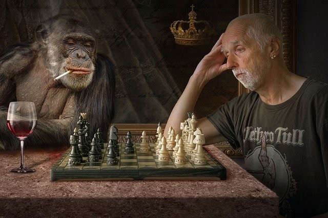 Создать мем: обезьяна, шахматы игры, обезьяна играет в шахматы