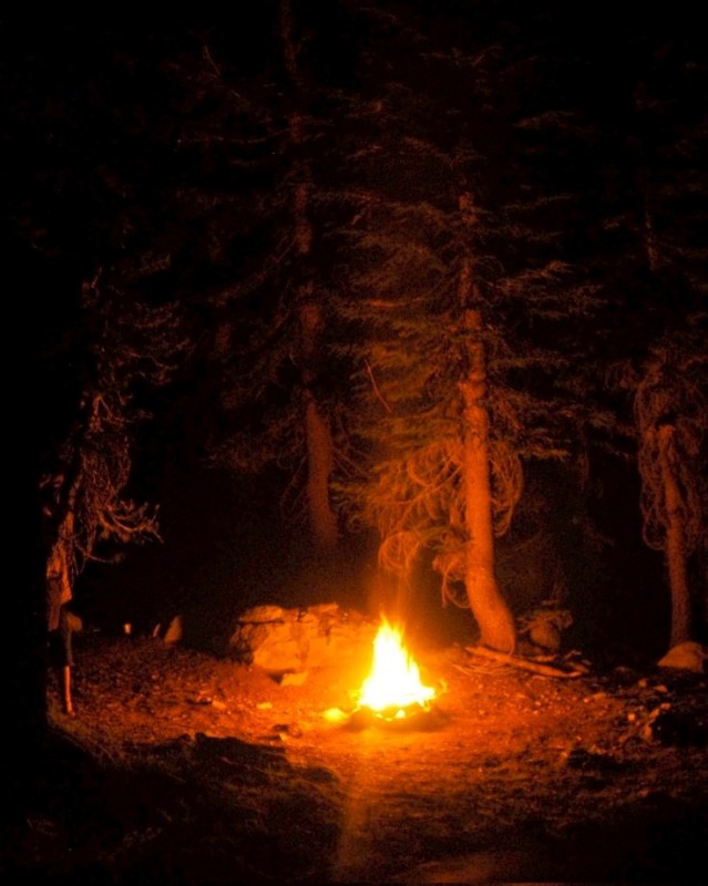 Create meme: bonfire night, the fire in the forest, night campfire in the forest