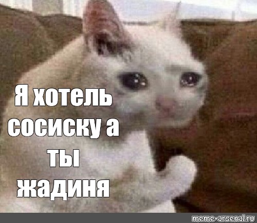 Мем: "Я хотель сосиску а ты жадиня", , Кот - фиаско,мем кот,sad c...