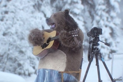 Создать мем: медведь в шапке ушанке с балалайкой, медведь в снегу с балалайкой, медведь с гитарой