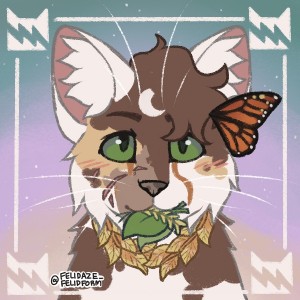 Создать мем: picrew коты воители, коты-воители, кошка