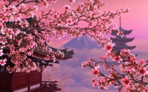 Create meme: sakura, cherry blossom, Japan