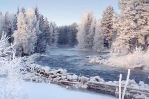Создать мем: красивая зима, лес зимой, фото русская зима природа