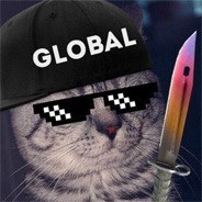 Create meme: cat avatar global, pictures of the cat in cs go, cat global steam ava
