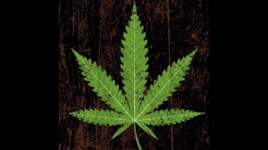 Create meme: cannabis, marijuana, marijuana leaf