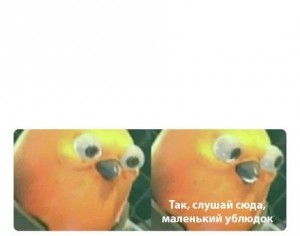 Создать мем: funny, listen here you little попугай, Текст