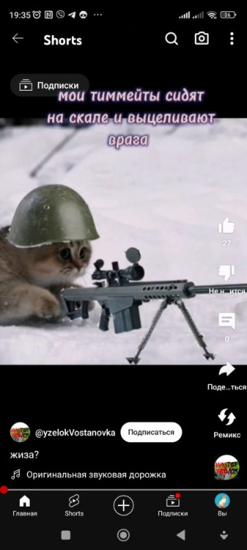Создать мем: коты, котик с автоматом, кот с пулеметом