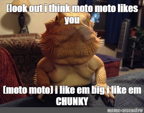 Meme Look Out I Think Moto Moto Likes You Moto Moto I Like Em
