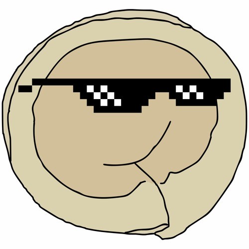 Create meme: shikoshib dumpling, you have entered the page of the top dumplings, thug life sunglasses