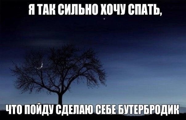 Create meme: the tree at night , I really want to sleep, a lonely tree at night