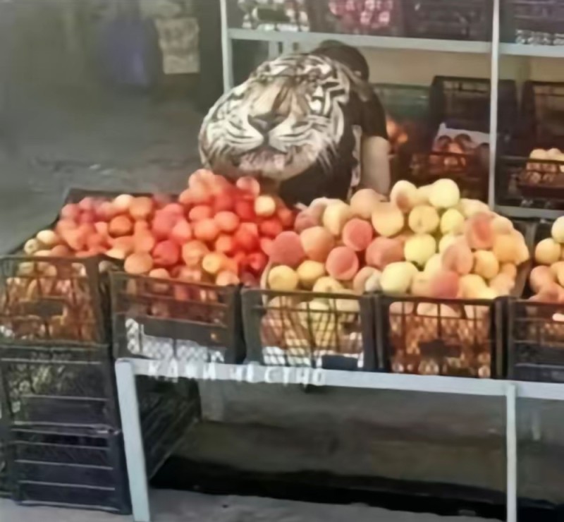 Create meme: fruit market, fruits on the market, cat 