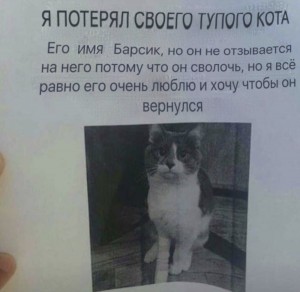 Create meme: white cat found advertisement, lost cat Volzhskiy, Cat