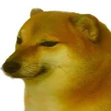 Create meme: dorime doge, doggo, cheem doge