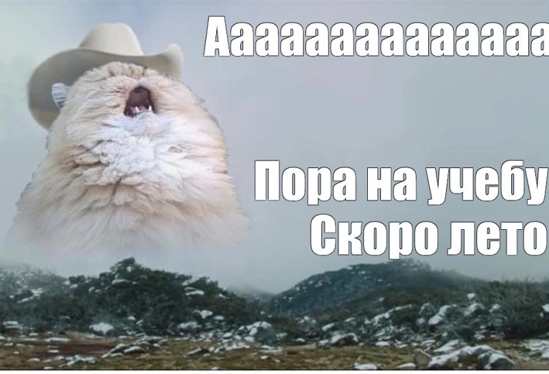 Создать мем: орущий кот в шляпе, кричащий кот, кот кричит мем