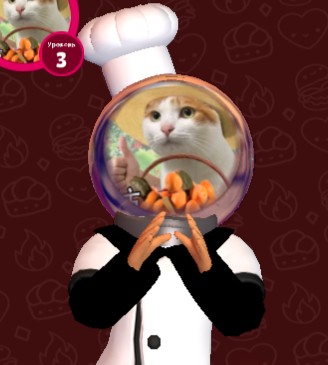 Create meme: The cat is a cook, The cook's cat, cat 