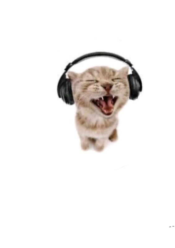 Create meme: screaming cat , cat with headphones, cat in headphones meme