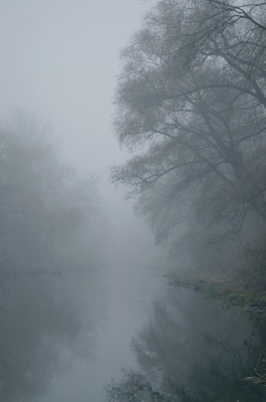 Create meme: fog in the morning, fog is dangerous, fog on the river