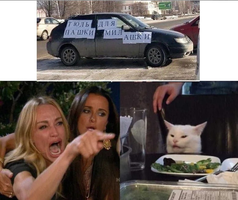 Create meme: MEM woman and the cat, meme the cat and two girls, cat meme 