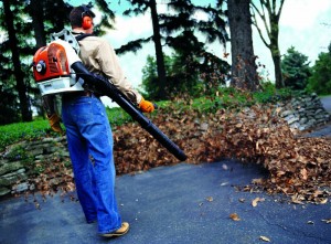 Create meme: blower echo pb-2520, chainsaw long for trees, cleaning the foliage with a vacuum cleaner