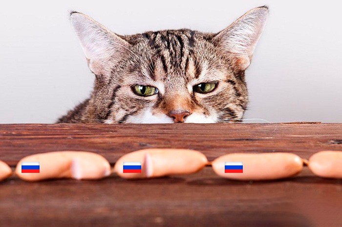 Create meme: cat and sausage, cat sausage, sausage for cats