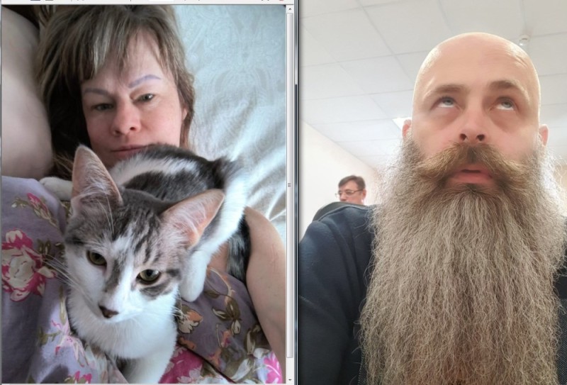 Create meme: the circle beard, The bearded cat, big beard