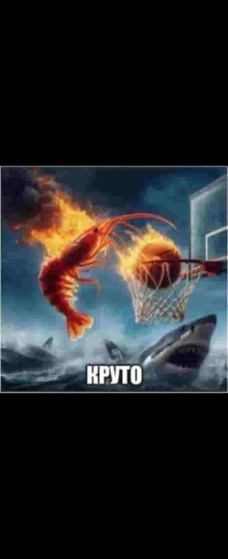 Create meme: basketball theme, basketball , basketball poster