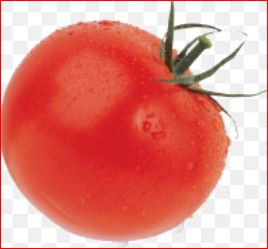 Создать мем: помидорка, тёплый красный помидор, помидор на белом фоне