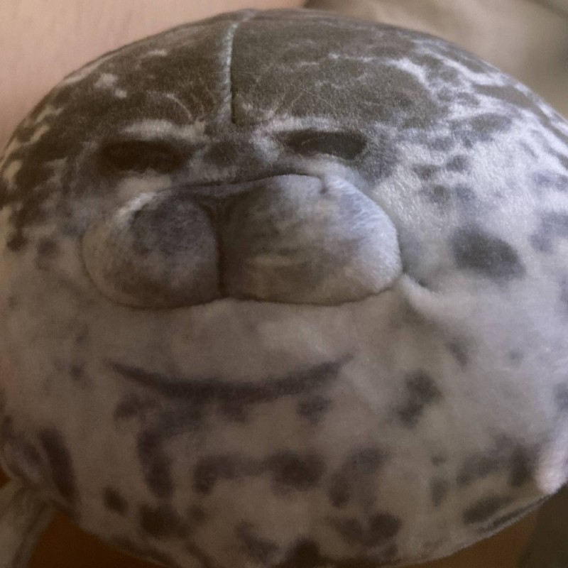 Create meme: fat seal toy, seal , cute seal