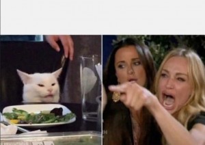 Создать мем: мем две женщины орут на кота, мемы с котом в ресторане, мем женщина и кот