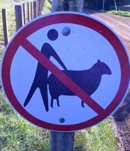 Create meme: signs, strange road signs, funny prohibition signs