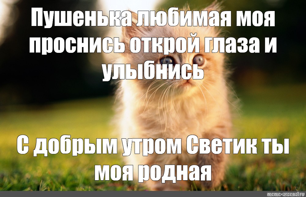 Проснись открой глаза песня. Пушенька. С добрым утром Светик. Самая добрая светлая душенька это наша любимая Пушенька.