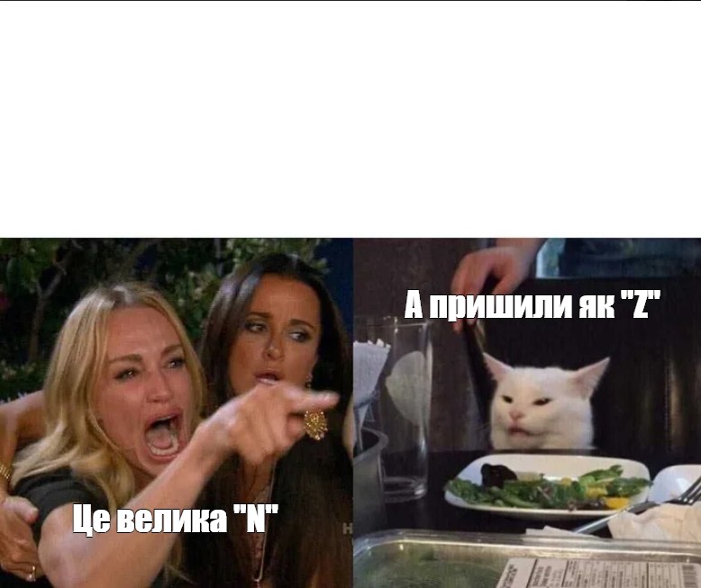 Свидань це. Мем с женщиной и котом. Мемы с котом за столом. Мем с женщиной и котом шаблон.