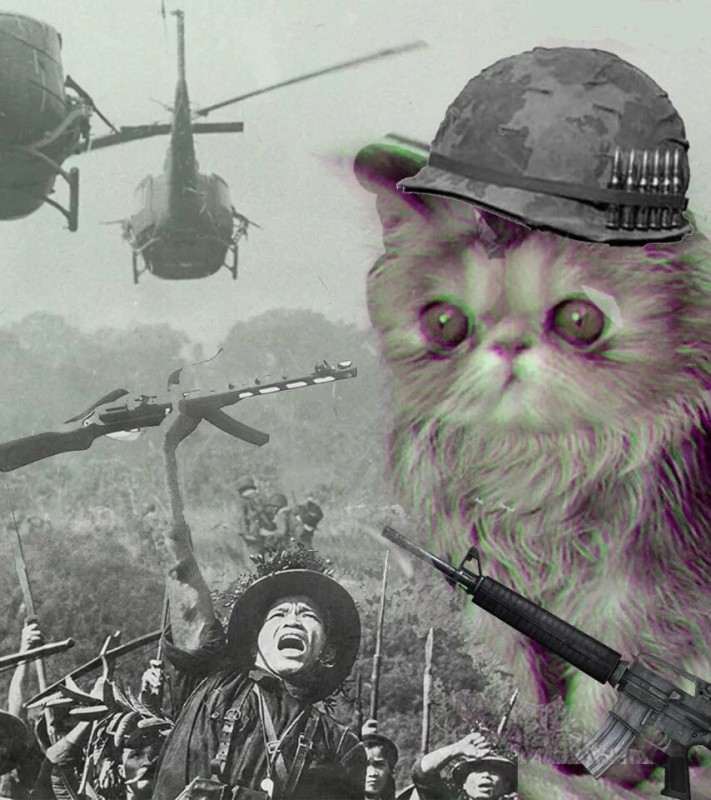 Create meme: flashback Vietnam, cat Vietnam flashback, flashback