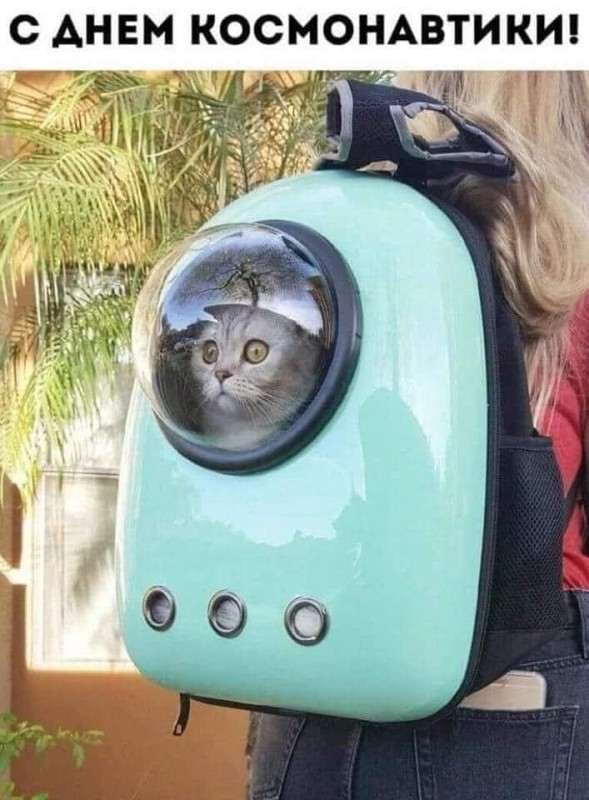 Создать мем: рюкзак переноска для кота с иллюминатором, рюкзак для животных с иллюминатором, рюкзак для котов с иллюминатором