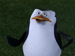 Create meme: penguins of Madagascar skipper, skipper from Madagascar, the penguins of Madagascar