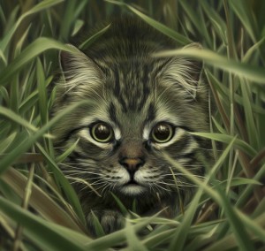 Create meme: animals cats, cat in the grass