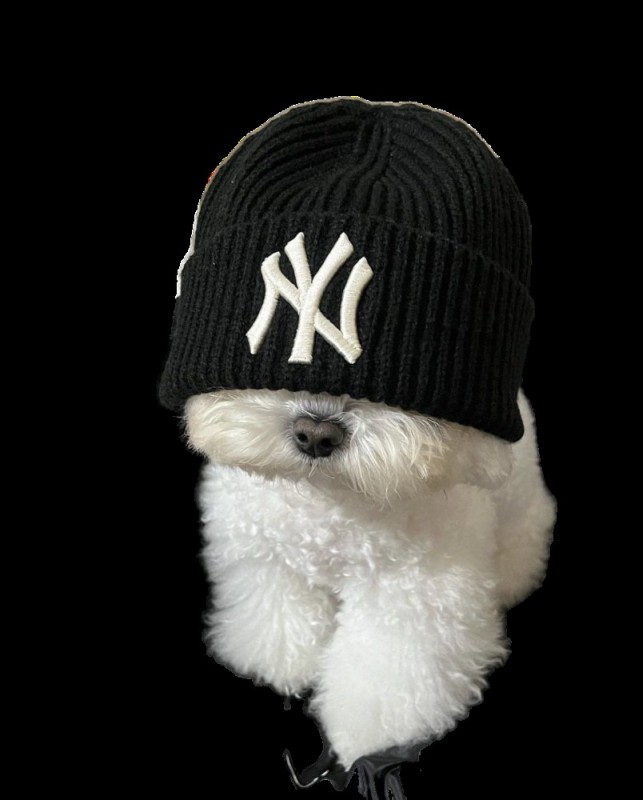 Create meme: New York Yankees cap, ny hat, hat beanie