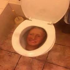 Создать мем: flamingo in toilet cursed image, картинки на унитазе смешные