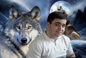 Создать мем: волк волк, серый волк, волк волчонок