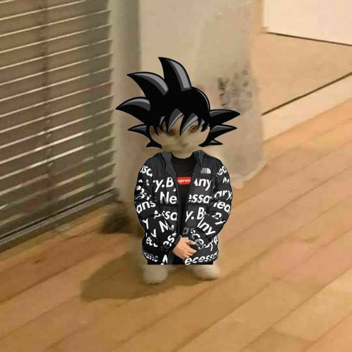 Create meme: goku supreme, goku drip, Goku Supreme