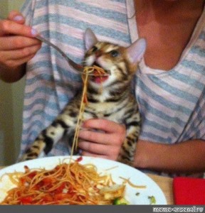 Create meme: mom's spaghetti, spaghetti meme, cat fed with a spoon