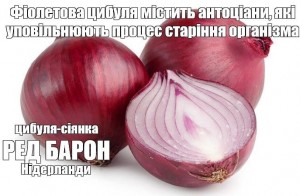 Create meme: bow, red onion