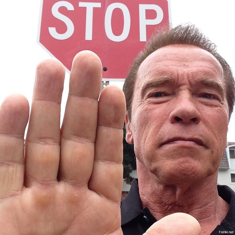 Create meme: Arnold Schwarzenegger in the offseason, schwarzenegger stop, arnold schwarzenegger meme