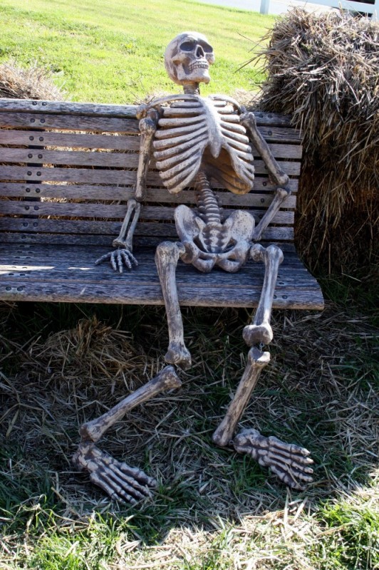 Create meme: skeleton in waiting, the skeleton on the bench, waiting skeleton