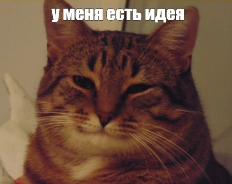 Создать мем: довольный кот, понимающий кот, кот улыбается мем