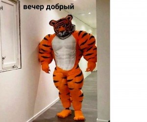 Создать мем: тигр талисман, ростовая кукла тигр, костюм тигра