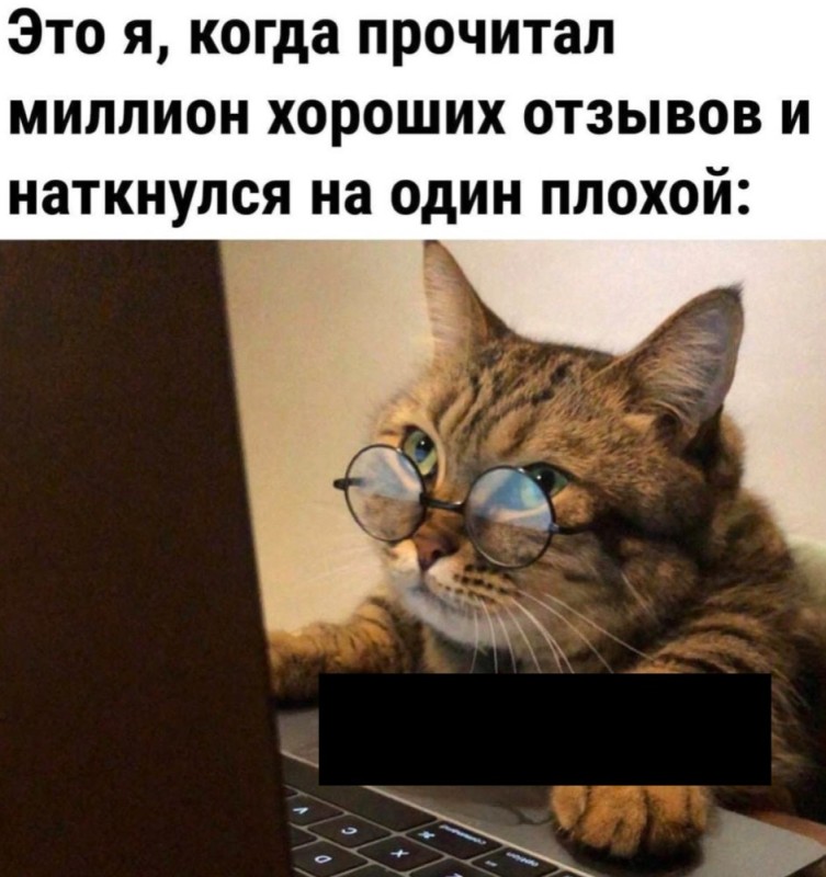 Create meme: cat accountant, memes with captions, cat meme 