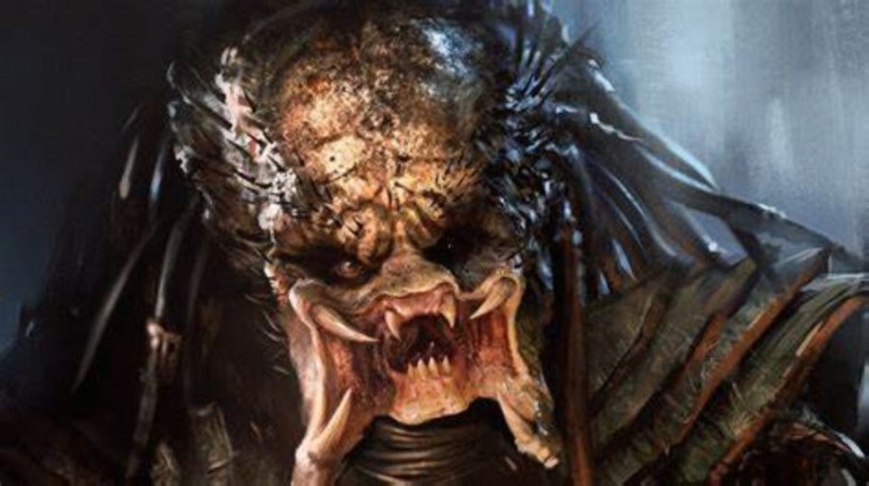 Create meme: the face of a predator, predator , alien vs predator 