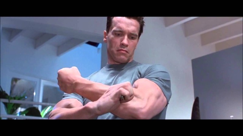 Create meme: Schwarzenegger terminator 2, schwarzenegger terminator hand, terminater 2